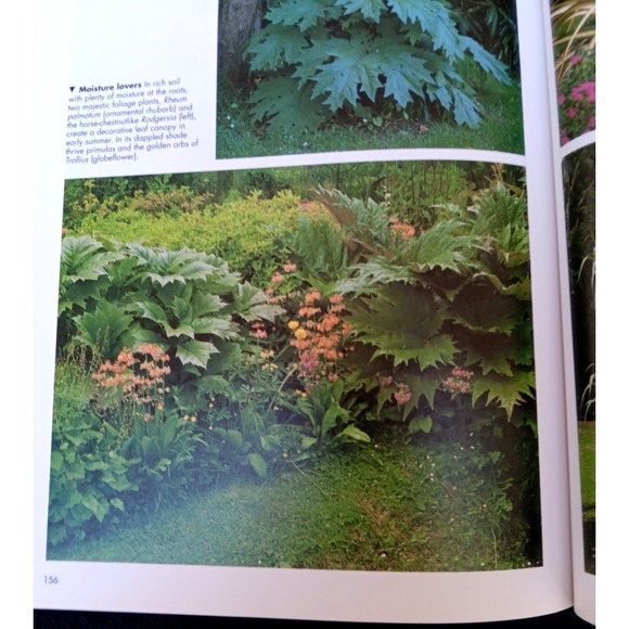 A–Z of Perennials – Reader's Digest Successful Gardening Series 1990, Hardcover - Picture 9 of 14